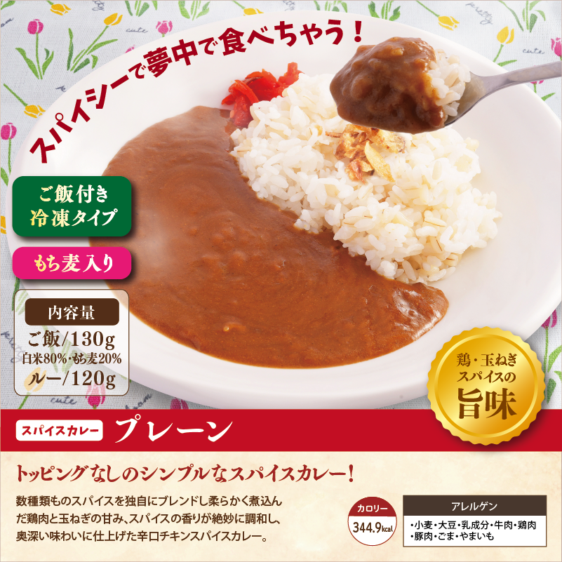 チビカレー】スパイスカレー12食セット – UMACA meal