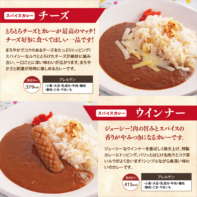 チビカレー】スパイスカレー12食セット – UMACA meal