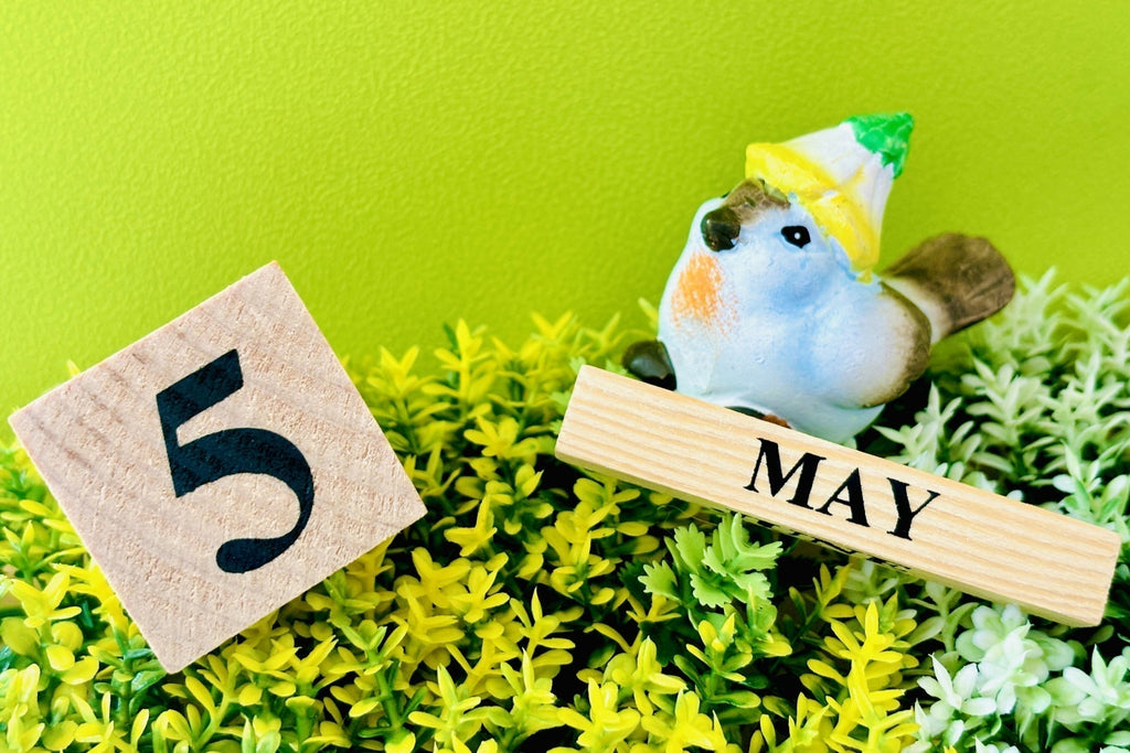 5月は自律神経が乱れやすい時期！心も身体も整えよう！