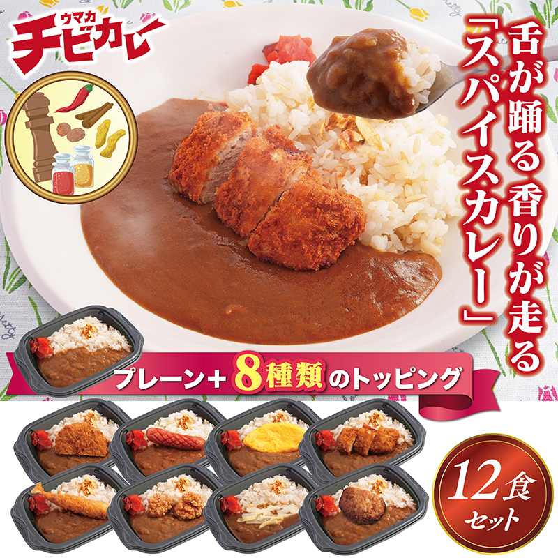 【チビカレー】スパイスカレー12食セット