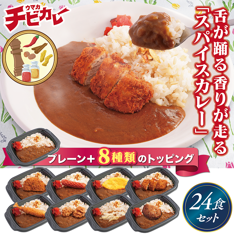 【チビカレー】スパイスカレー24食セット