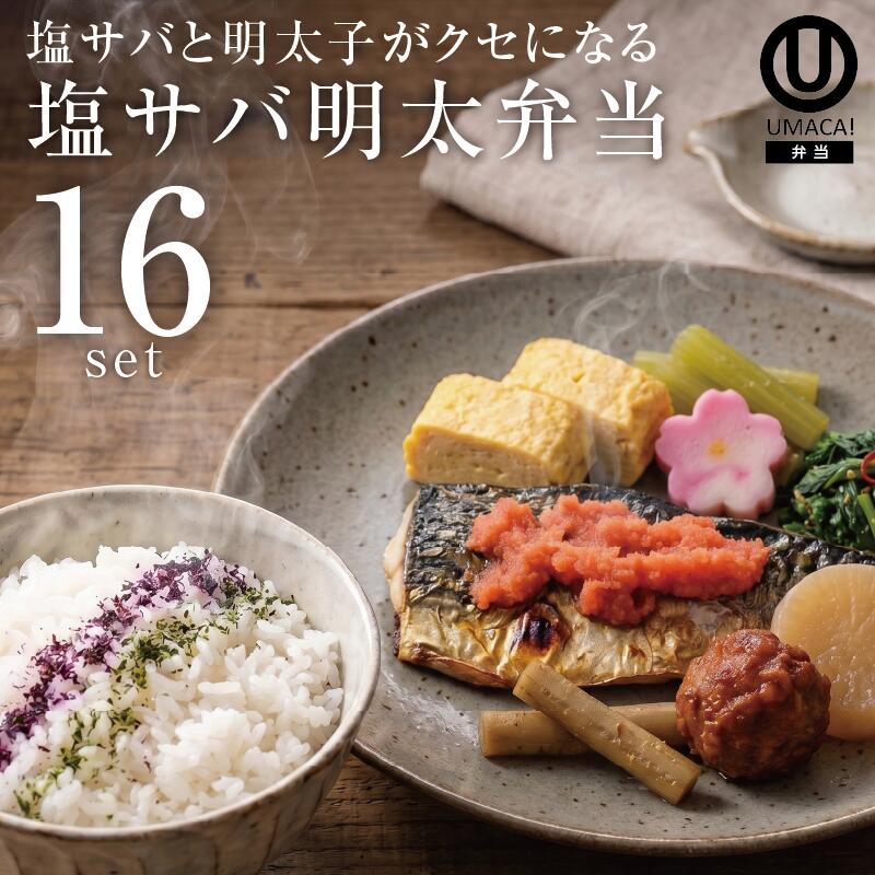 弁当16セット 塩サバ明太