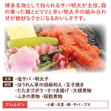【福岡ご当地弁当】塩サバ明太弁当5食セット（冷凍食品）