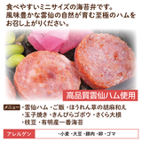 【ちいさな海苔弁】雲仙ハムチビノリベーン（冷凍食品）
