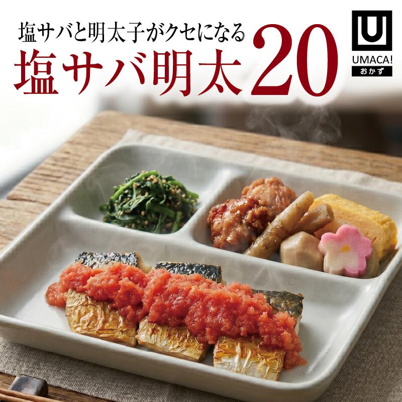 【福岡ご当地おかず】塩サバ明太20食セット（冷凍食品）