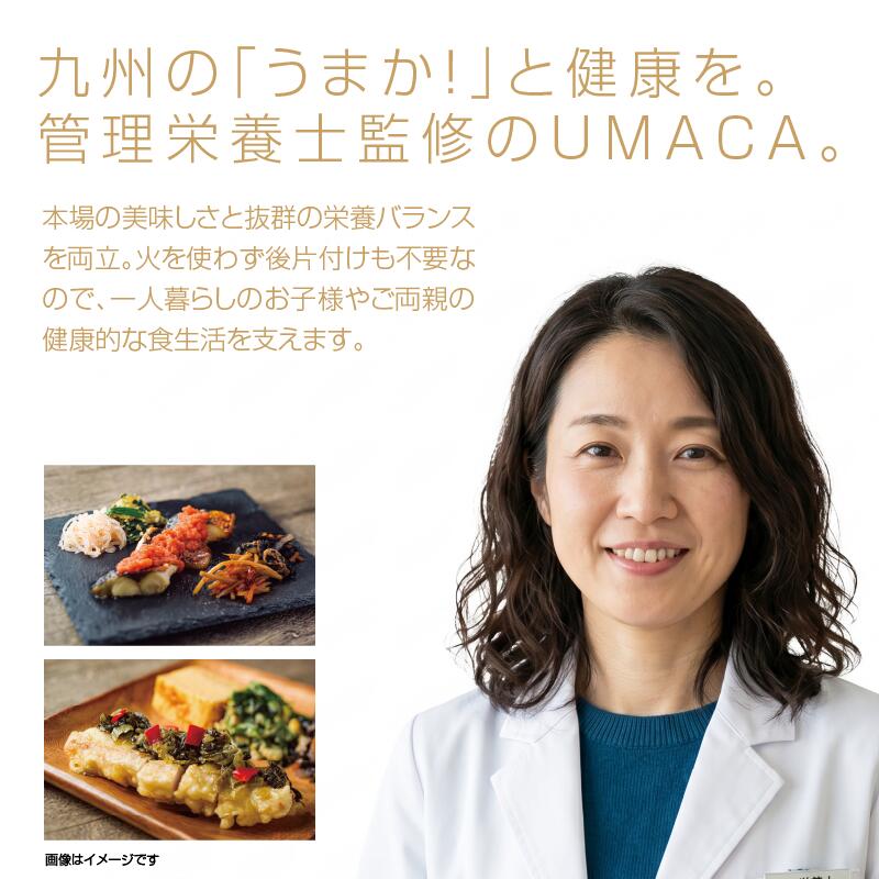 【UMACA冷凍】九州名物の冷凍おかず14食セット