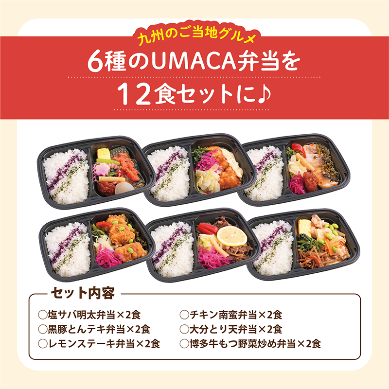 ★BLACK FRIDAY特価!九州名物の冷凍弁当12食セット【冷凍】