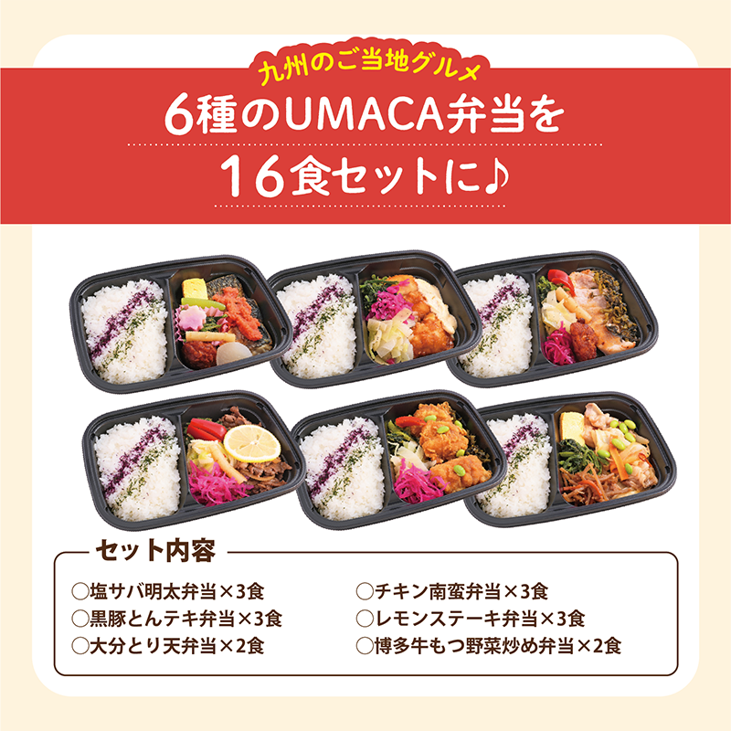 ★BLACK FRIDAY特価!九州名物の冷凍弁当16食セット【冷凍】