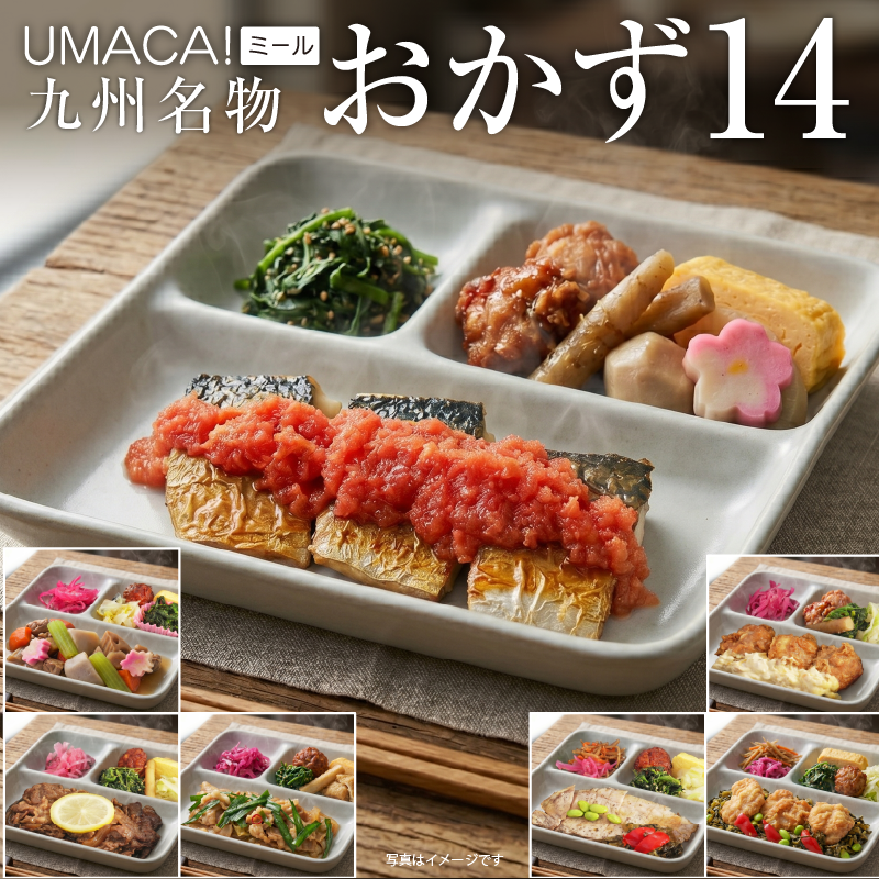 九州名物おかず14食セット