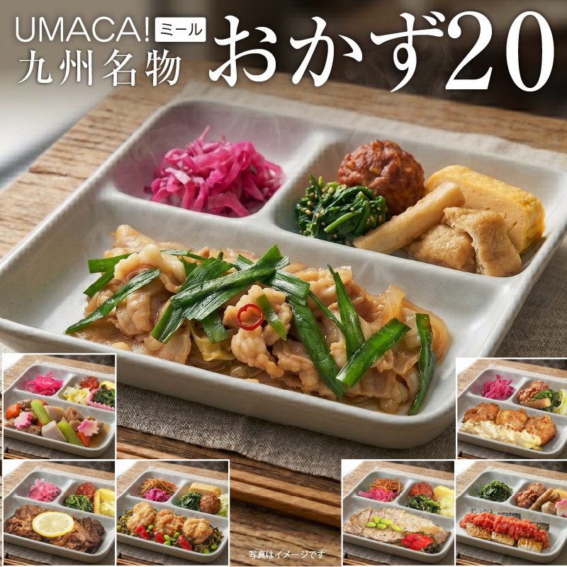 九州名物おかず20食セット