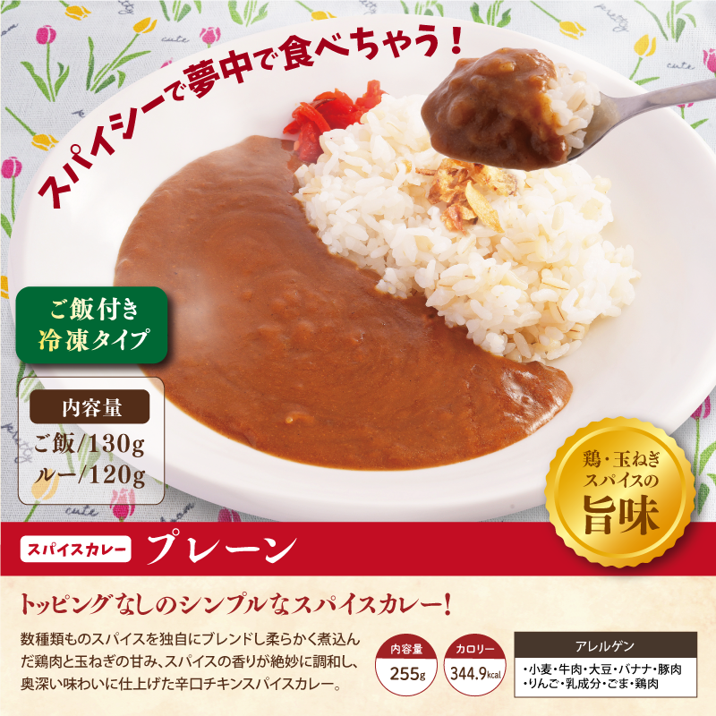 【チビカレー】スパイスカレー12食セット