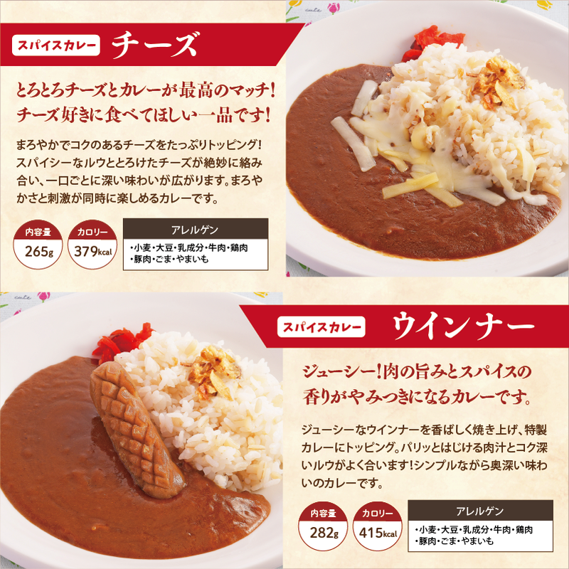 【チビカレー】スパイスカレー12食セット