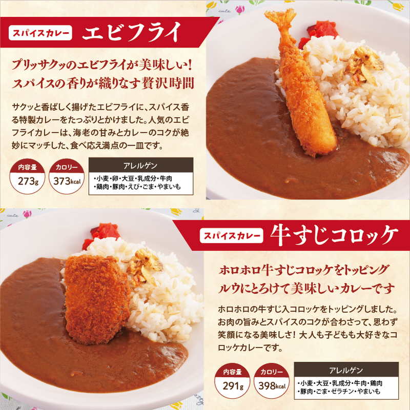 【チビカレー】スパイスカレー12食セット