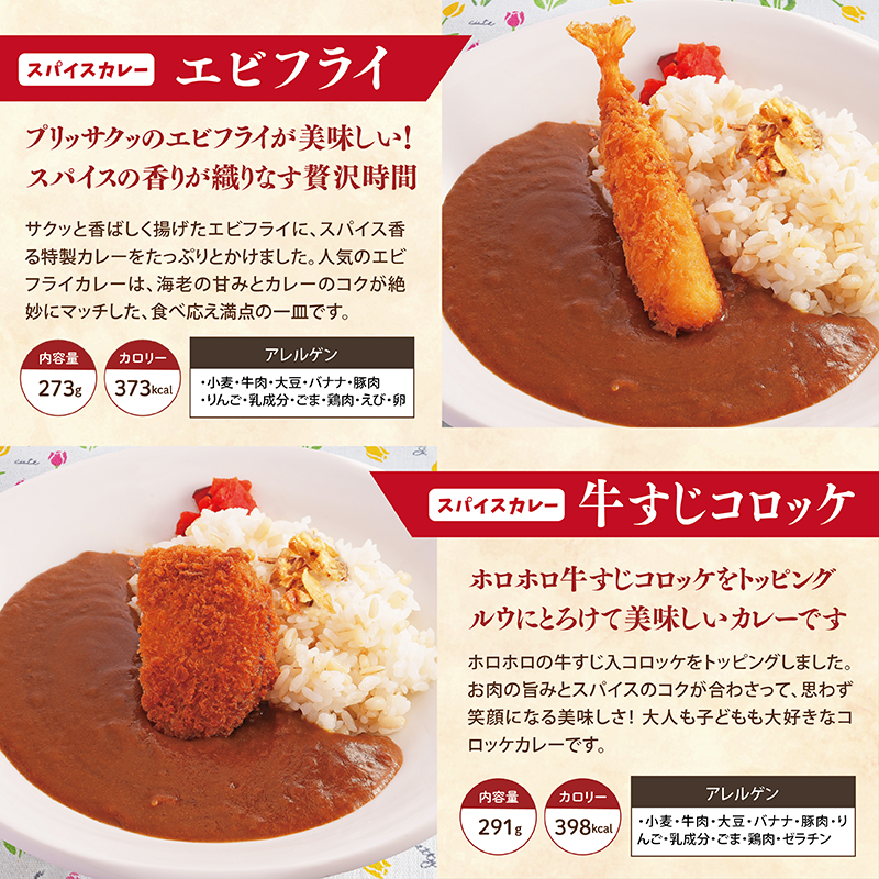【チビカレー】スパイスカレー12食セット