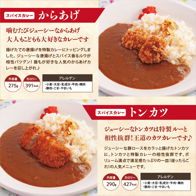 【チビカレー】スパイスカレー12食セット