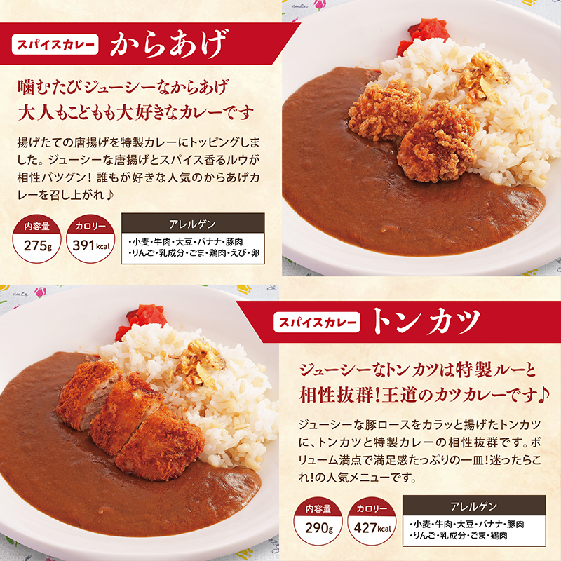 【チビカレー】スパイスカレー12食セット