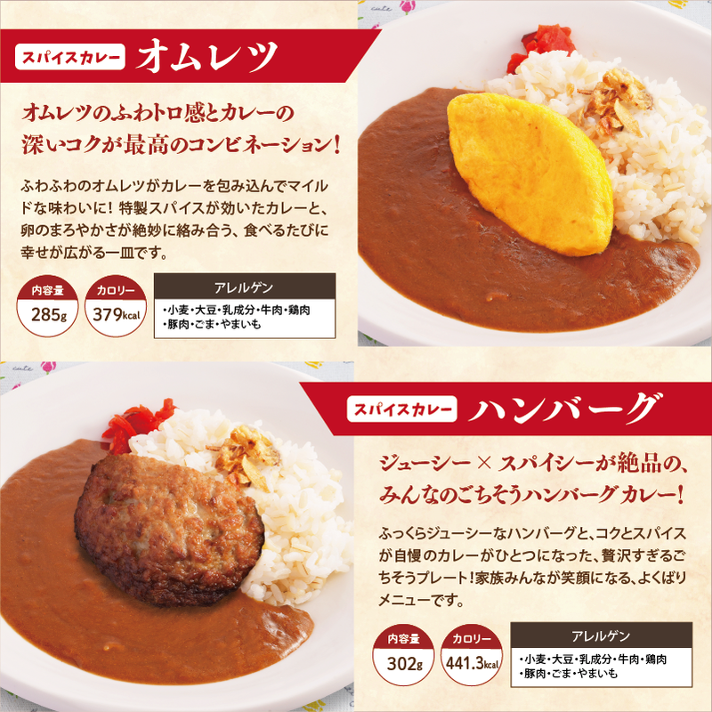 【チビカレー】スパイスカレー12食セット