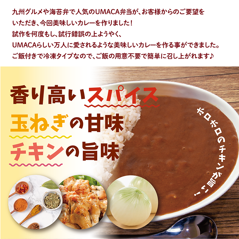 【チビカレー】スパイスカレー12食セット