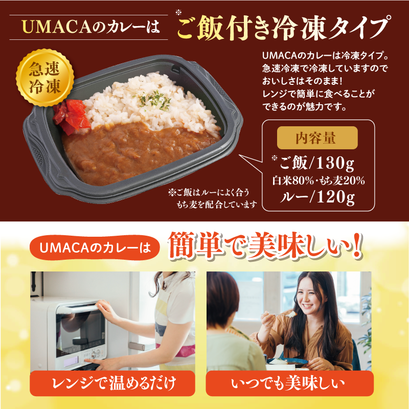【チビカレー】スパイスカレー12食セット